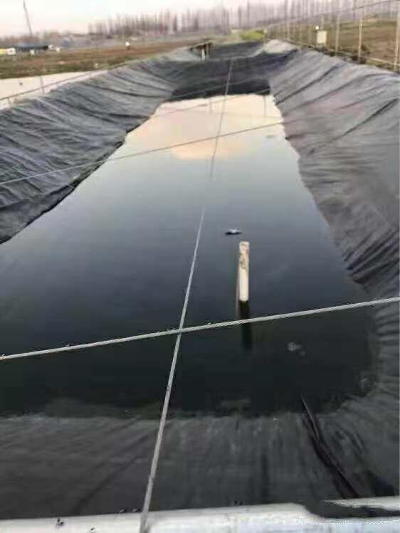 湖南正屹生物科技有限公司,湖南水污染治理公司,生態修復,土壤污染治理 湖南正屹生物科技有限公司,湖南水污染治理公司,生態修復,土壤污染治理