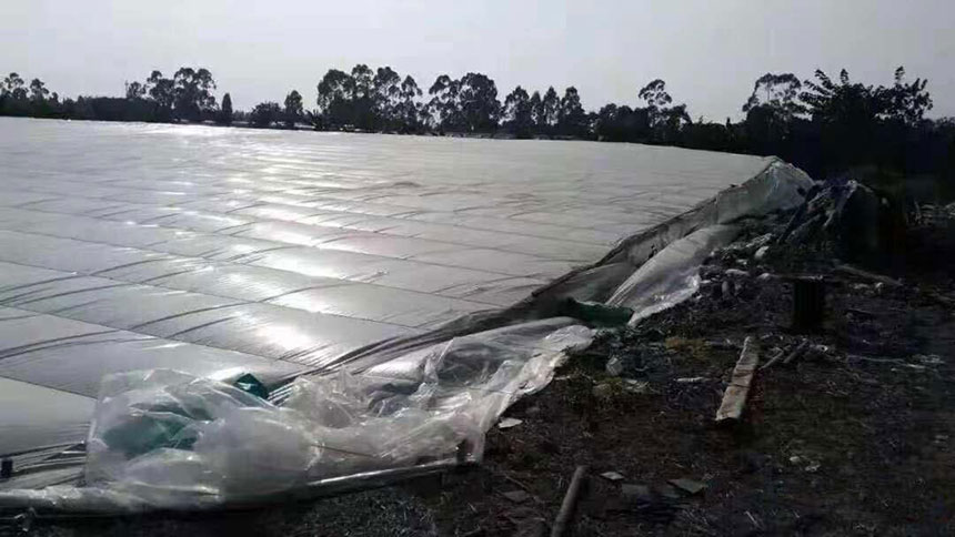湖南正屹生物科技有限公司,湖南水污染治理公司,生態修復,土壤污染治理 湖南正屹生物科技有限公司,湖南水污染治理公司,生態修復,土壤污染治理