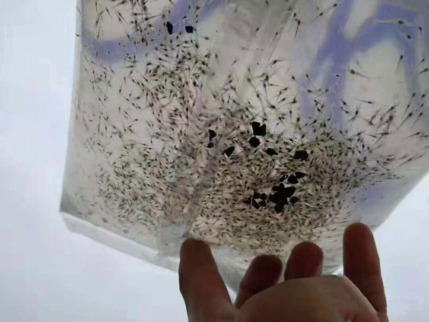 湖南正屹生物科技有限公司,湖南水污染治理公司,生態修復,土壤污染治理 湖南正屹生物科技有限公司,湖南水污染治理公司,生態修復,土壤污染治理