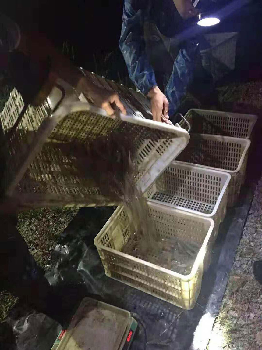 湖南正屹生物科技有限公司,湖南水污染治理公司,生態修復,土壤污染治理 湖南正屹生物科技有限公司,湖南水污染治理公司,生態修復,土壤污染治理